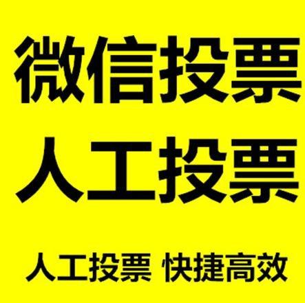 西宁市投票活动拉票能被查出来吗？如何操作能不被发现？